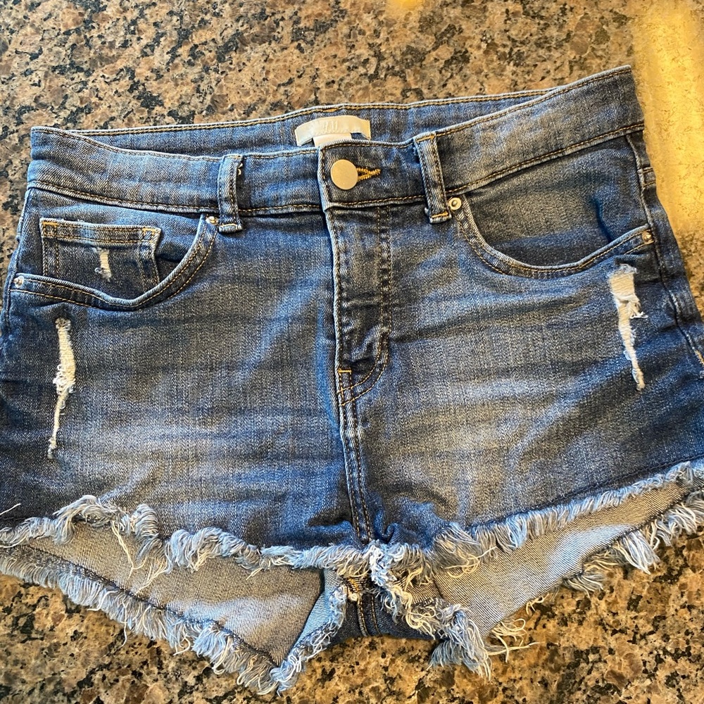 Cute Shorts NWOT
